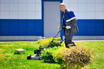 Servicii complete amenajare peisagistica